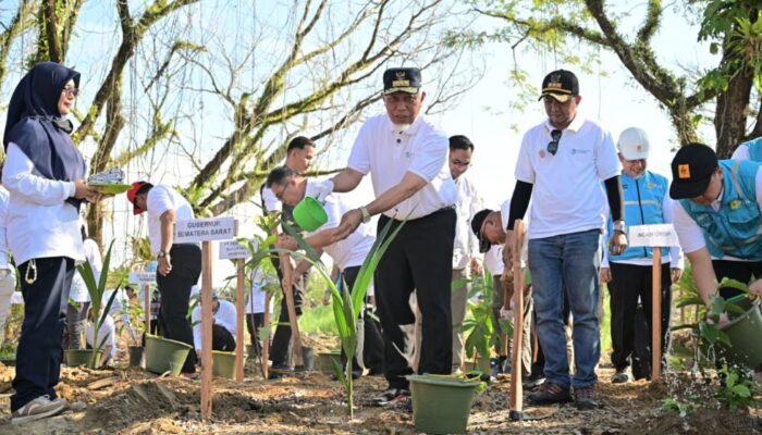 Peringati Hari Lingkungan Hidup, Sumbar Tanam 1.000 Pohon di Hutan Kota Malvinas