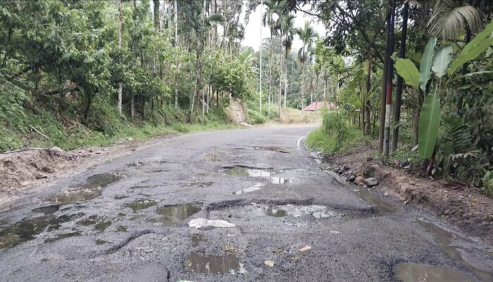 Miris Ruas Jalan Nasional Bukittinggi – Pasaman Rusak Parah, Sehingga Jadi Sorotan.