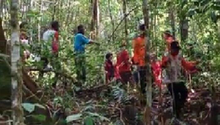 Pria 42 Tahun Hilang di Kawasan Hutan Biologis Unand, BPBD Padang Kerahkan Tim Rescue