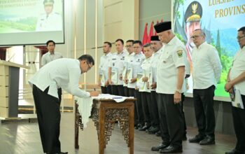 Sumbar Tetapkan 166 Ribu Hektare LP2B, Lampaui Target Nasional Ketahanan Pangan