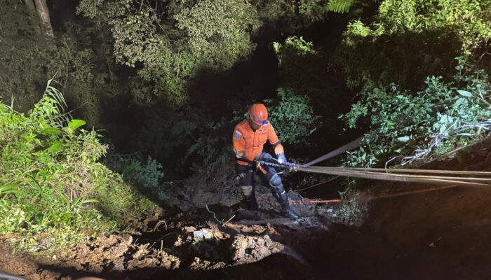 Truk CPO Masuk Jurang Sedalam 80 Meter di Sitinjau Lauik, Satu Korban Meninggal