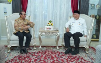 Sumbar Siap Optimalkan Energi Terbarukan, Mahyeldi Bahas Sinergi dengan DEN