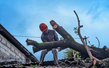 Enam Pohon Tumbang dan 74 Titik Banjir di Padang, BPBD Tingkatkan Kesiapsiagaan