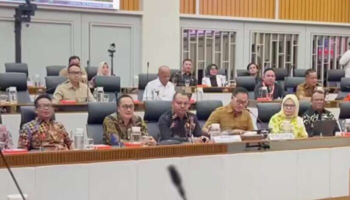 Fasilitasi Pemkab Mentawai ke Komisi IV, Alex Indra Lukman Perjuangkan Status Hutan untuk Pembangunan