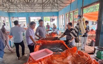 Nasabah KUR Naik Kelas, BRI Sijunjung Terus Dorong UMKM Berkembang