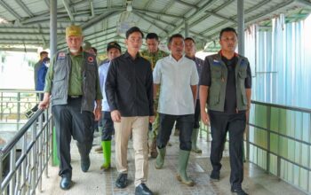 Gibran Jenguk Korban Banjir Bandang di RSUD Arosuka, Dua Pasien Masih Dirawat