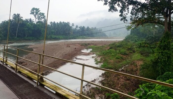 Hulu Batang Lengayang Memprihatinkan, Jembatan Gantung Kampung Akad Dikepung Material