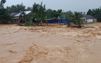 Sungai Batang Guo Meluap, Banjir Rendam Permukiman dan Ladang Warga Gunung Sarik
