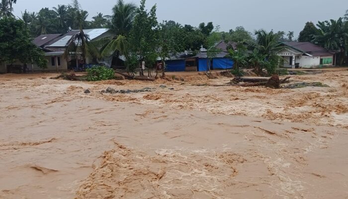 Sungai Batang Guo Meluap, Banjir Rendam Permukiman dan Ladang Warga Gunung Sarik